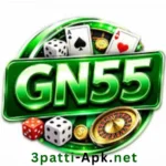 GN55 game