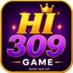 HI309 Game