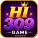 HI309 Game