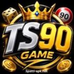 TS90 Game