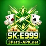SK-E999 Game